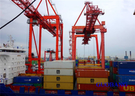 LCL Sea Freight 45HC Shipping From China To Europe