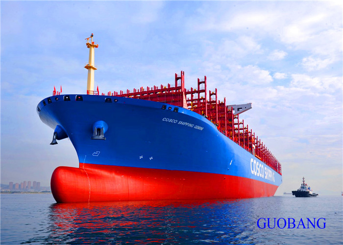 Sea Freight 20GP Shipping From China To New Zealand