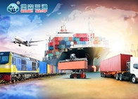 Sea Freight Amazon FBA Shipping Agent From China to USA / Europe