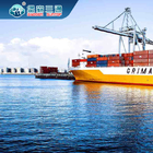 International Export Import Freight Forwarder Professional LCL FCL Services