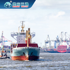 Professional Customs Clearance Services From China To Europe
