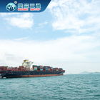 China To Australia Sea Shipping Freight Forwarder Amazon Dropship To Europe