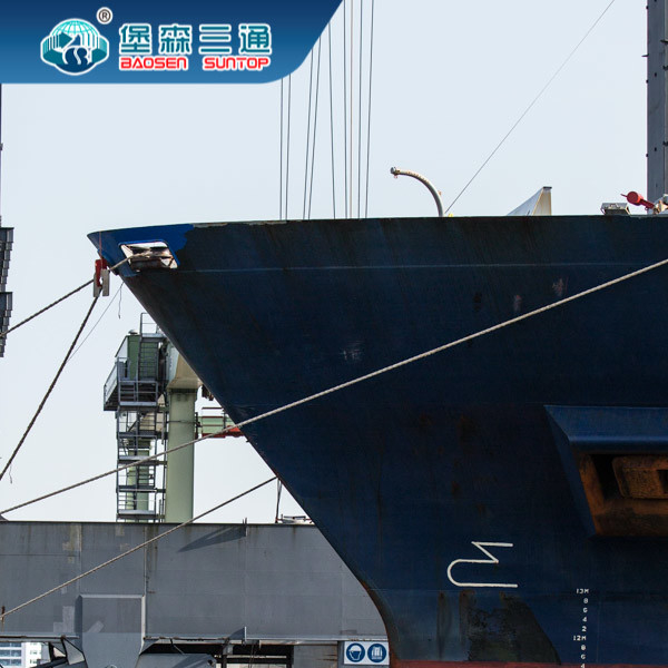 Custom Declaration Import Freight Forwarder WCA Qualification