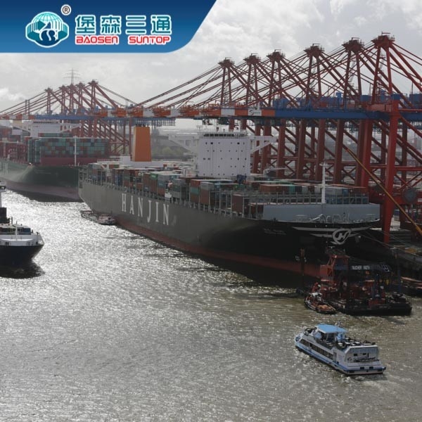 Shenzhen International Freight Broker , Trans Globe Freight Forwarders To USA EUAU