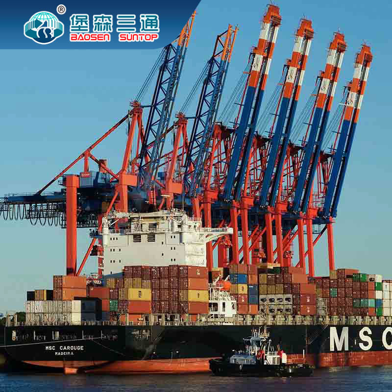Global Shipping Sea Air Freight Forwarders From China Local LCL FCL DDP